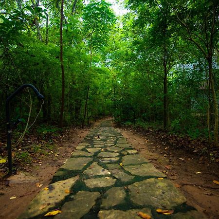 C B S Resort Udawalawe Bagian luar foto