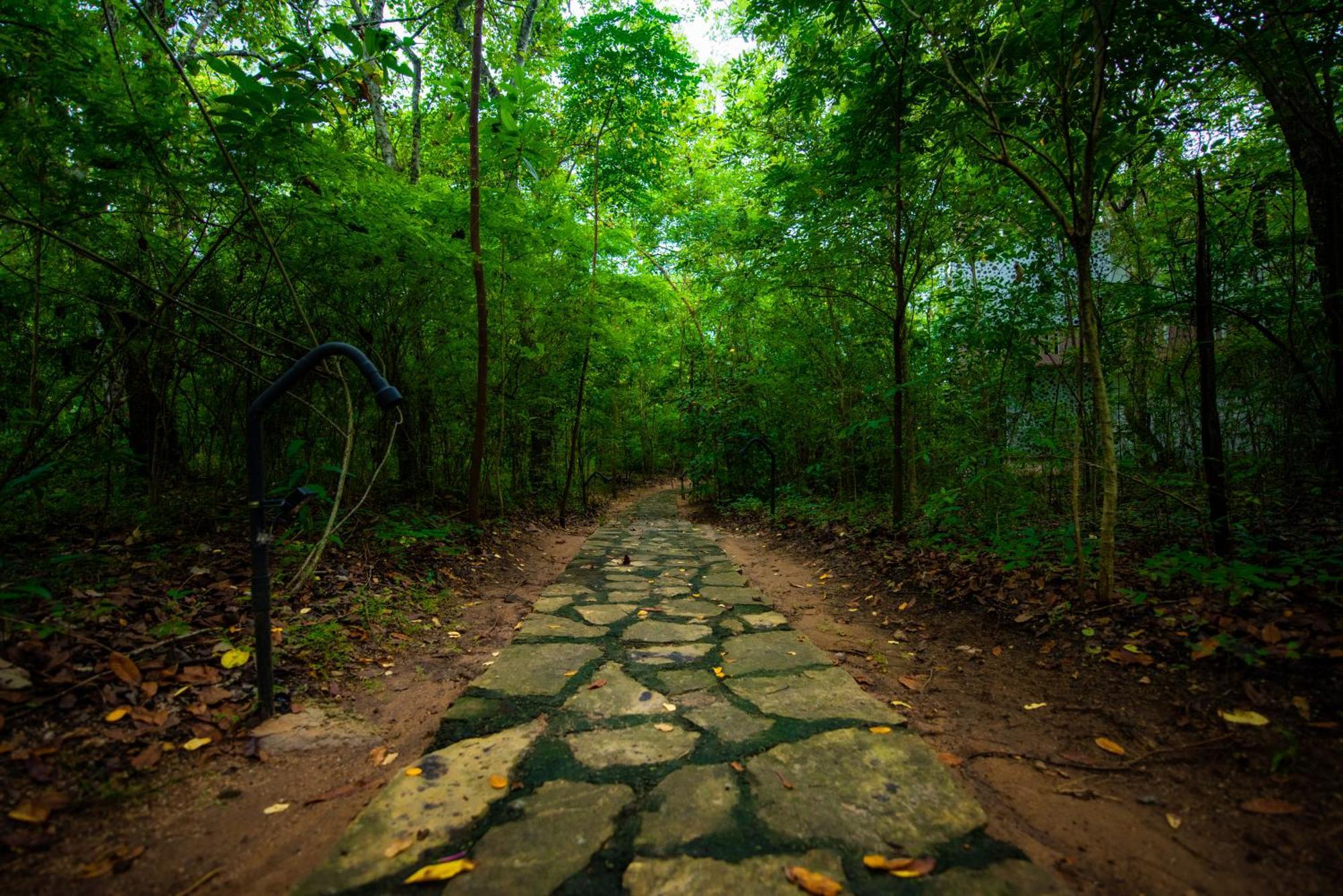 C B S Resort Udawalawe Bagian luar foto
