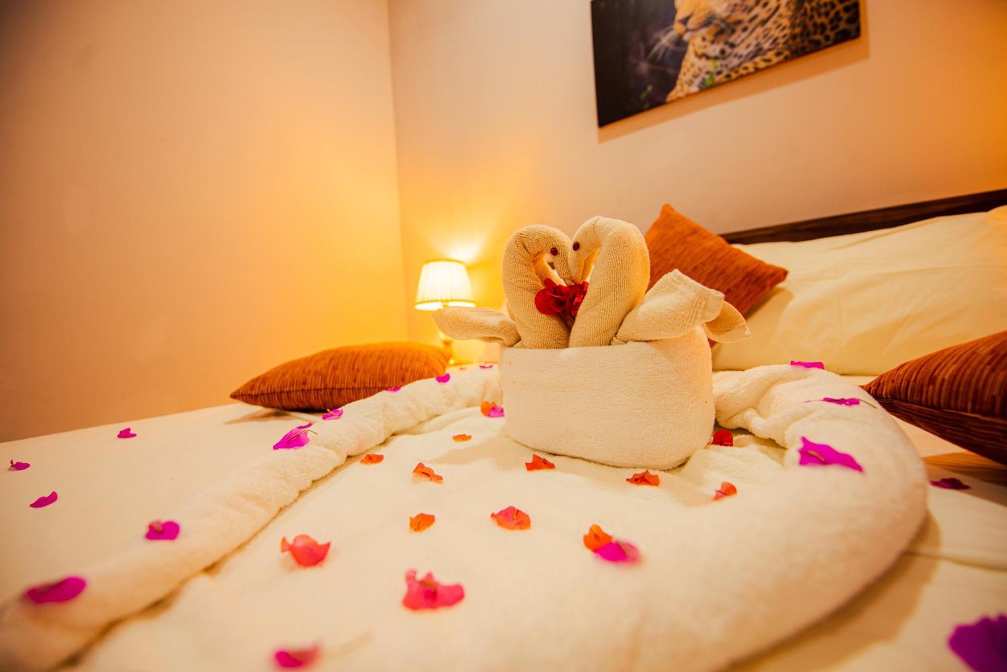 C B S Resort Udawalawe Bagian luar foto